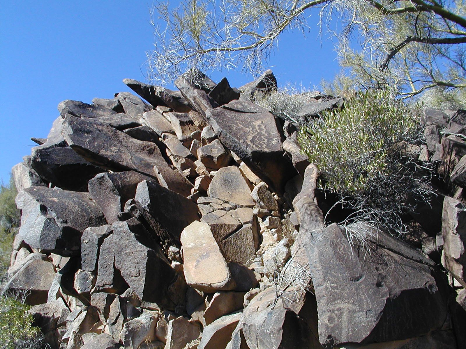 Organ Pipe National Monument
